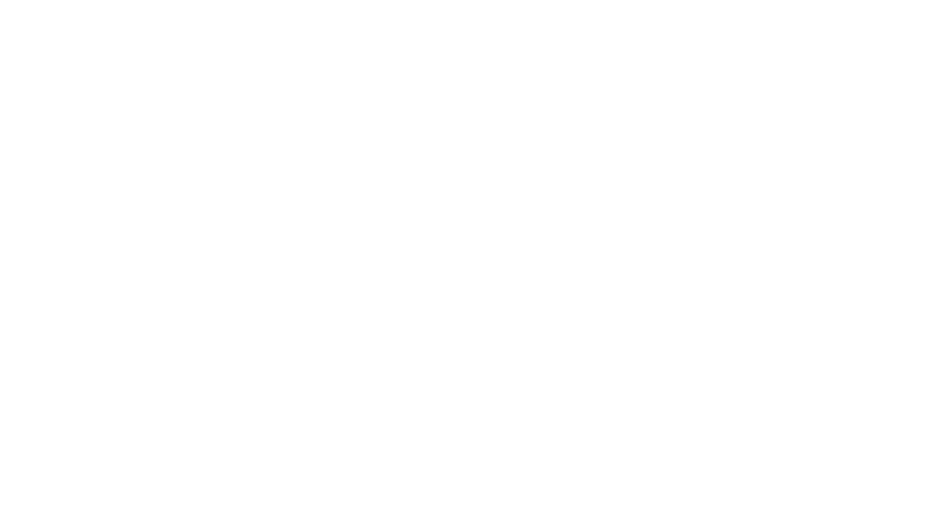 Adobe Bronze Solution Partner